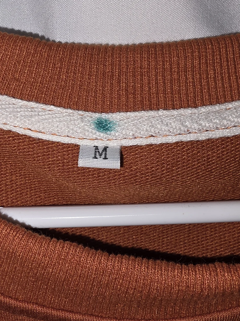Autumn Pumpkin Graphic Sweatshirt - Rust Orange